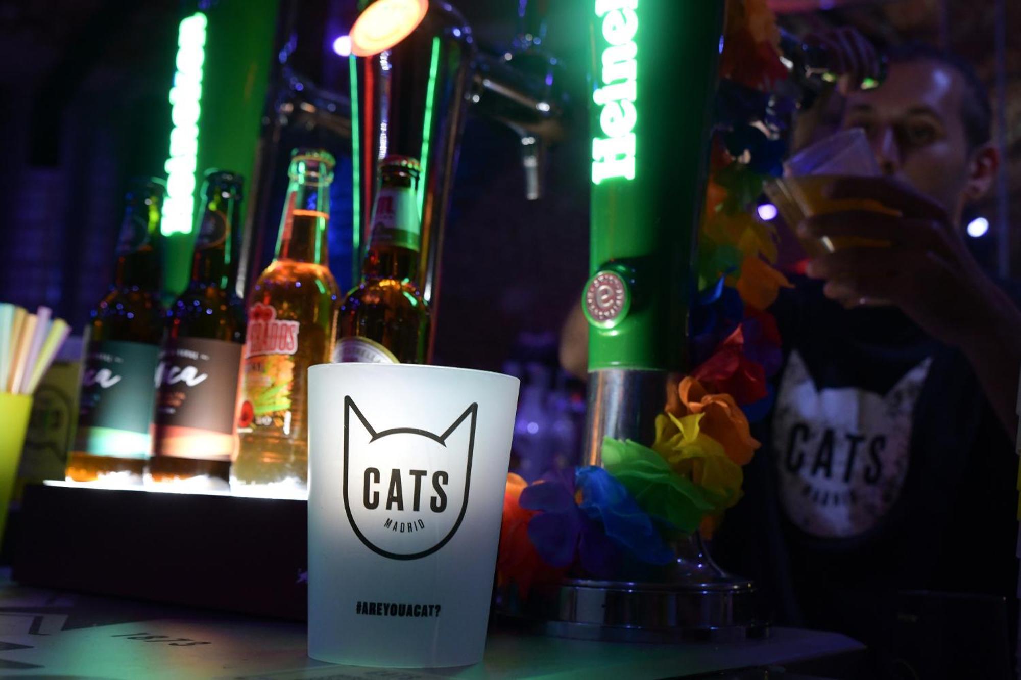Cats Hostel Madrid Sol — Foto’s 3